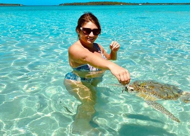 Savannah Sound Sand Dollar At Ten Bay Beach Home المظهر الخارجي الصورة